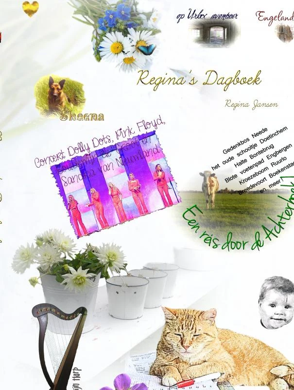 Regina's Dagboek – Regina Jansen – boek cover
