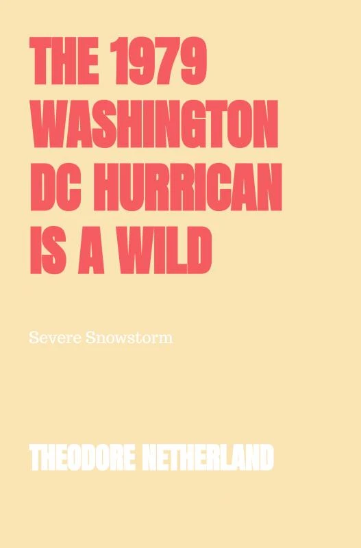 The 1979 Washington DC Hurrican is a Wild Climate Occurrence Producing with it Freezing Conditions Roaring Breeze and Reduced Clarity. – Theodore Netherland – boek cover