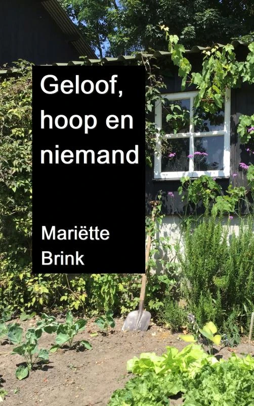 Geloof, hoop en niemand ā MariĆ«tte Brink ā boek cover