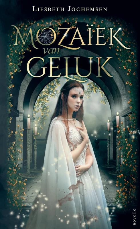 Mozaïek van Geluk – Liesbeth Jochemsen – boek cover