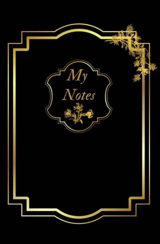 Notitieboek - Cadeau voor man - Cadeau voor vrouw - hardcover - Notitieboekje - Schrijfblok - Notebook - Goude - Zwart - my notes 6 – Anias Delacre – boek cover