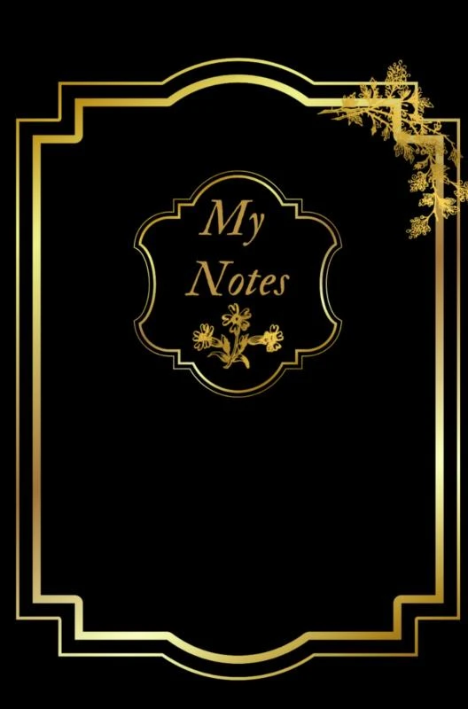 Notitieboek - Cadeau voor man - Cadeau voor vrouw - hardcover - Notitieboekje - Schrijfblok - Notebook - Goude - Zwart - my notes 6 – Anias Delacre – boek cover
