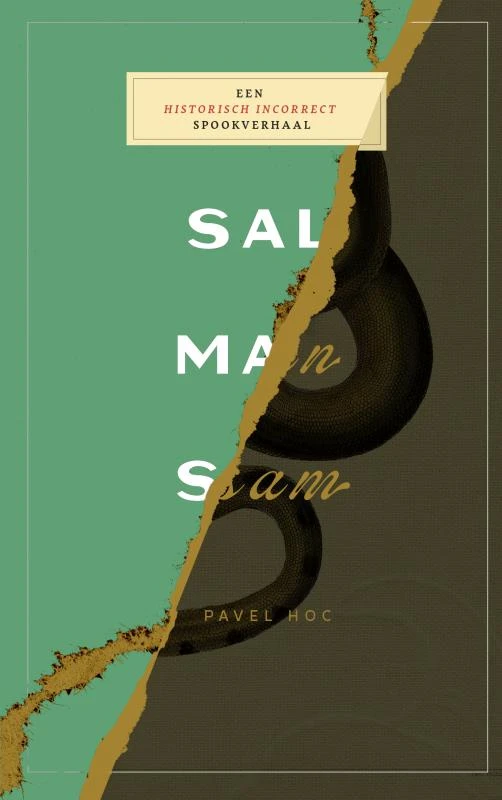 Salmansam – Pavel Hoc – boek cover
