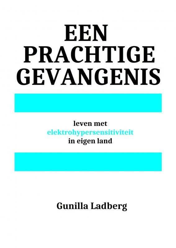 Een prachtige gevangenis – Gunilla Ladberg – boek cover