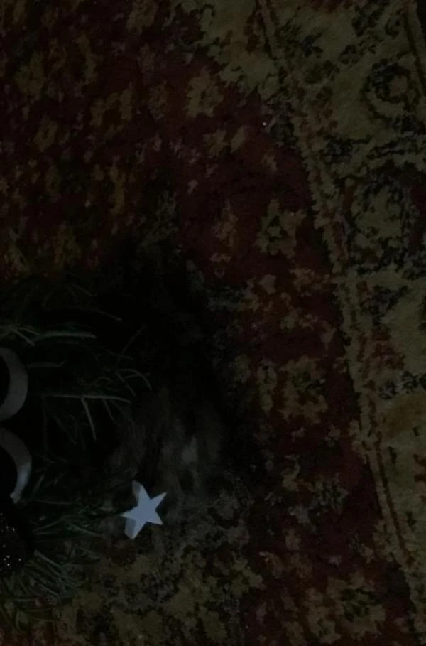 mooie kerstverhalen – Ans linders – boek cover