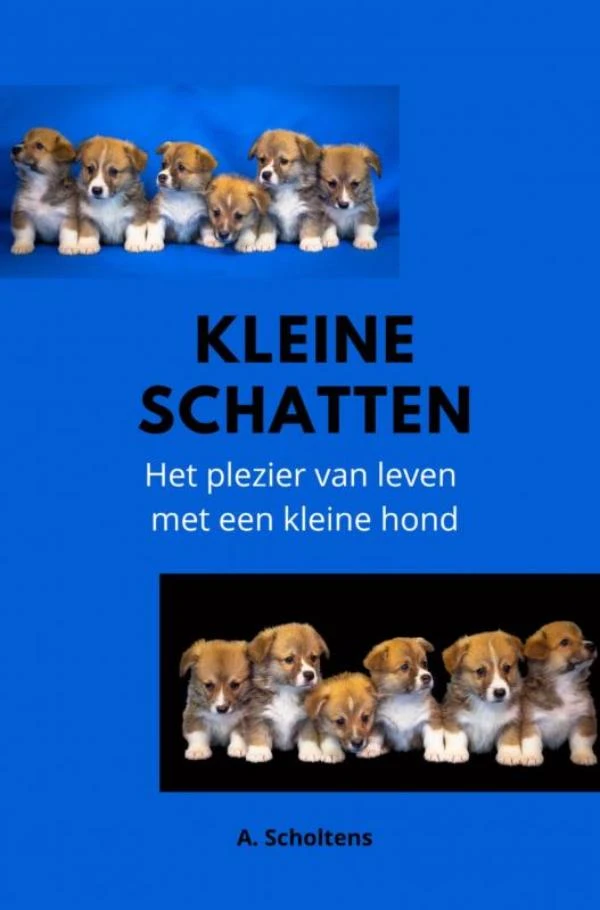 Kleine Schatten – A. Scholtens – boek cover