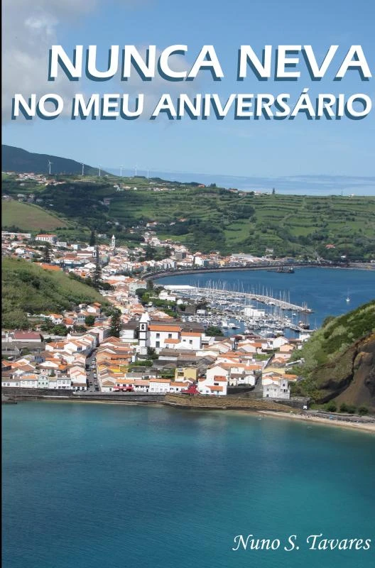 NUNCA NEVA NO MEU ANIVERSÁRIO – Nuno S. Tavares – boek cover