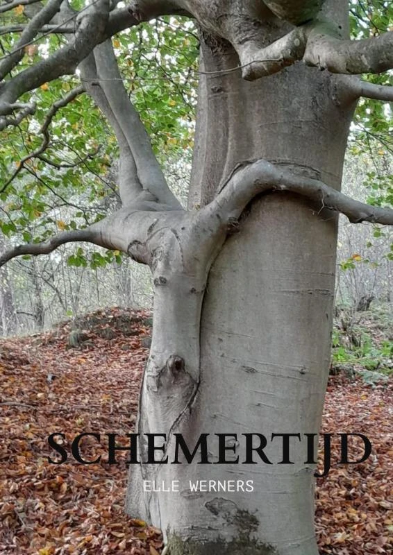 SCHEMERTIJD – Elle Werners – boek cover