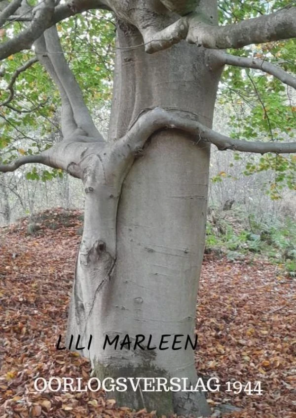 OORLOG – Elle Werners – boek cover
