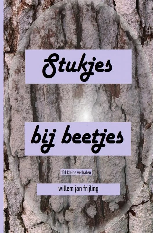 Stukjes bij beetjes – Willem Jan Frijling – boek cover