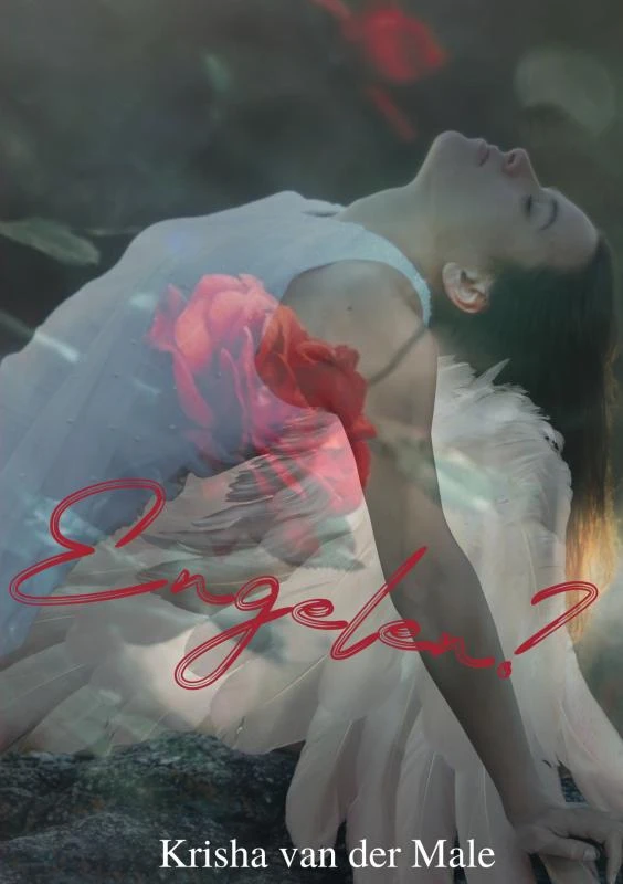 Engelen? – boek cover
