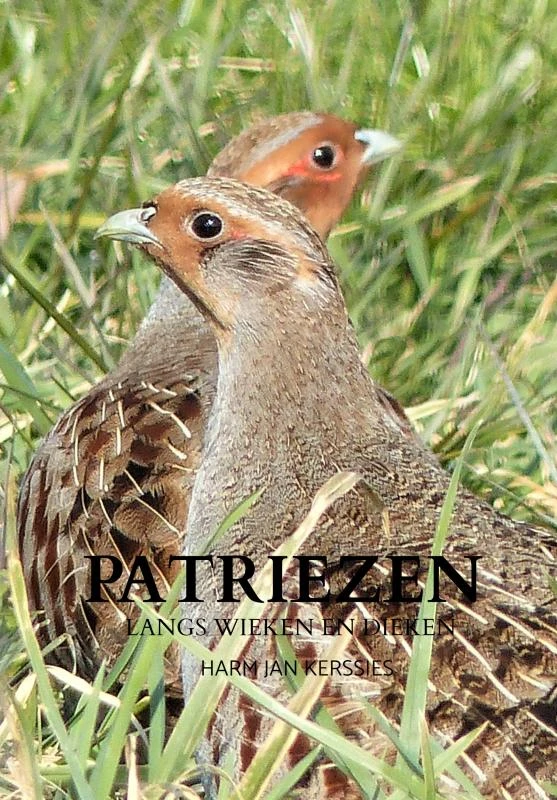 Patriezen – Harm Jan Kerssies – boek cover