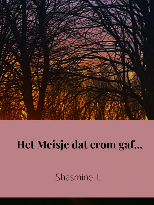 Het Meisje dat erom gaf... – Shasmine .L – boek cover