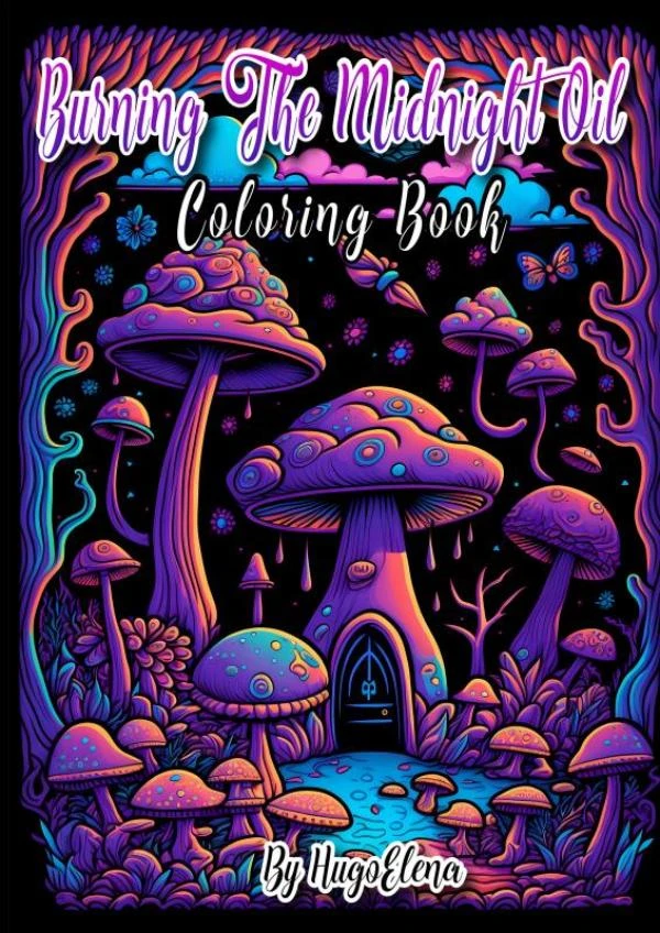 Burning the midnight oil – Dhr Hugo Elena – boek cover