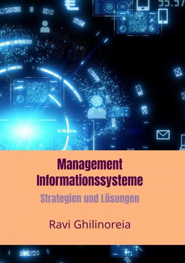 Management Informationssysteme – Ravi Ghilinoreia – boek cover