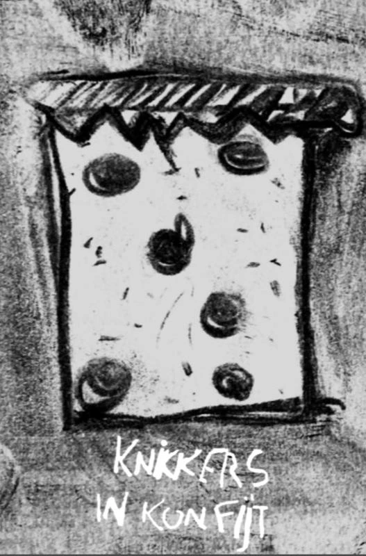 knikkers in konfijt – Jules Vandenbussche – boek cover