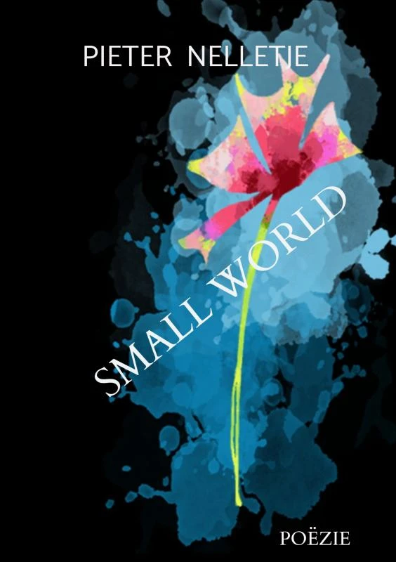 SMALL WORLD – Pieter Nelletje – boek cover