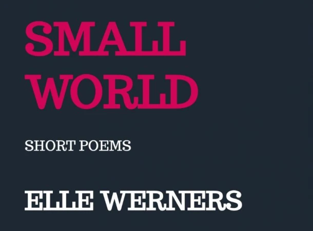 SMALL WORLD – Elle Werners – boek cover
