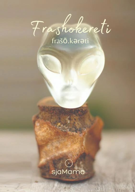 Frashokereti – Carola  W. Ruijsch van Dugteren – boek cover