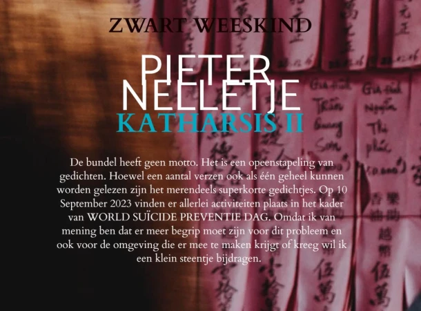 KATHARSIS II – Pieter Nelletje – boek cover