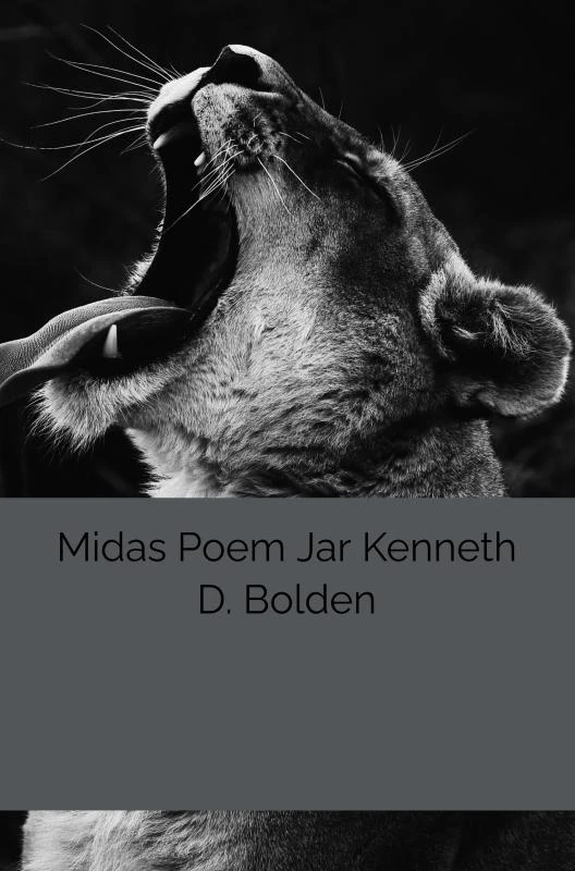 Midas Poem Jar Kenneth D. Bolden – Kenneth D. Bolden – boek cover