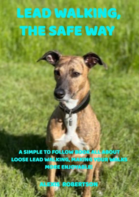 Lead walking, the safe way – Alexis Robertson – boek cover