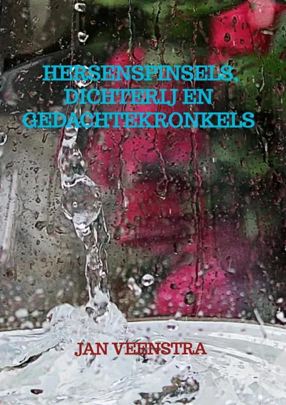 Hersenspinsels, dichterij en gedachtekronkels – Jan Veenstra – boek cover