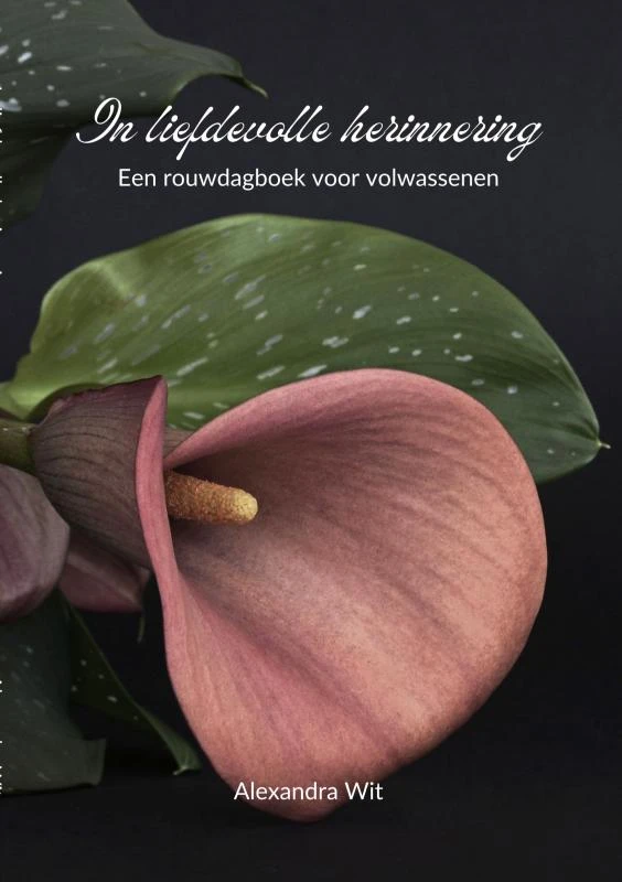 In liefdevolle herinnering – Alexandra Wit – boek cover