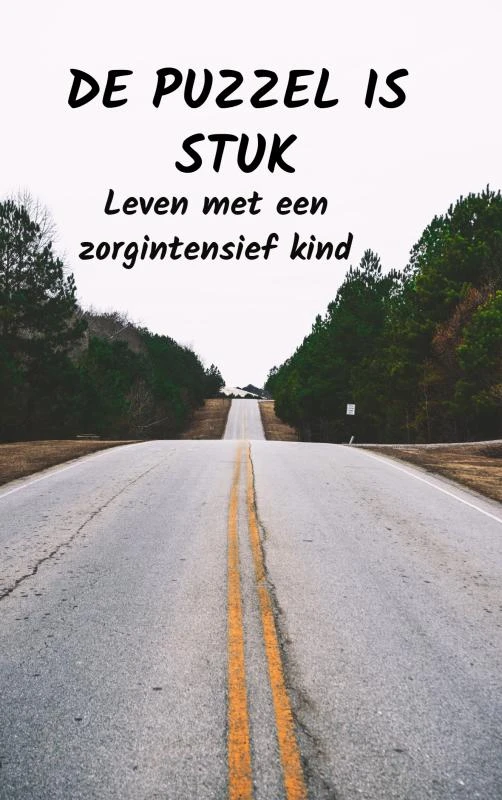 De puzzel is stuk – Marijke Ivangh – boek cover