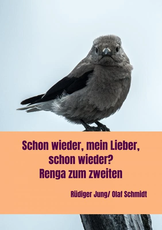 der zweite teil – Olaf Schmidt – boek cover