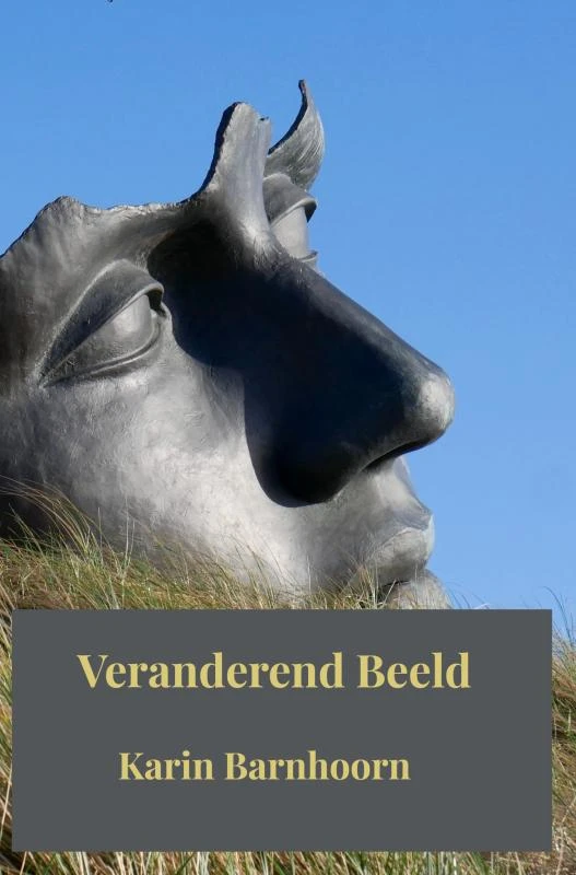 Veranderend Beeld – Karin Barnhoorn – boek cover