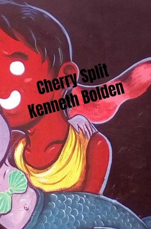 Cherry Split Kenneth Bolden – Kenneth D. Bolden – boek cover