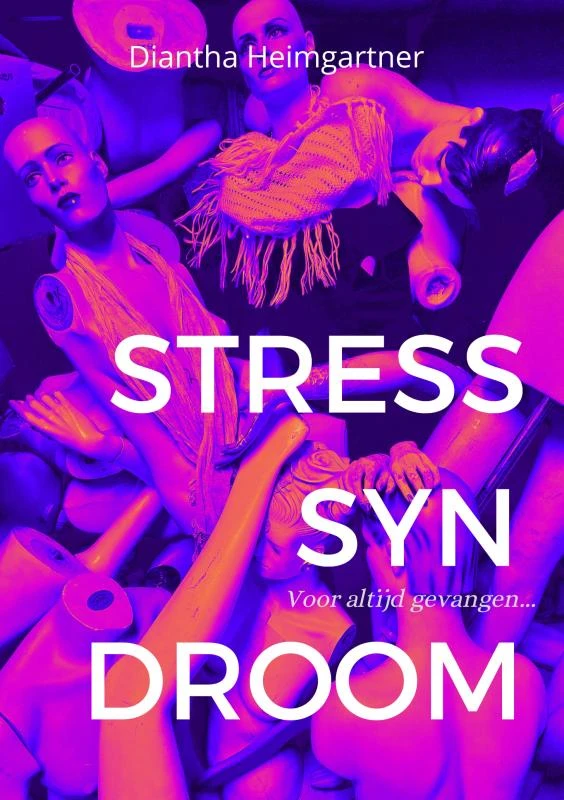 Stresssyndroom – Diantha Heimgartner – boek cover