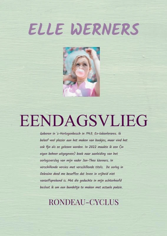 EENDAGSVLIEG II – Elle Werners – boek cover