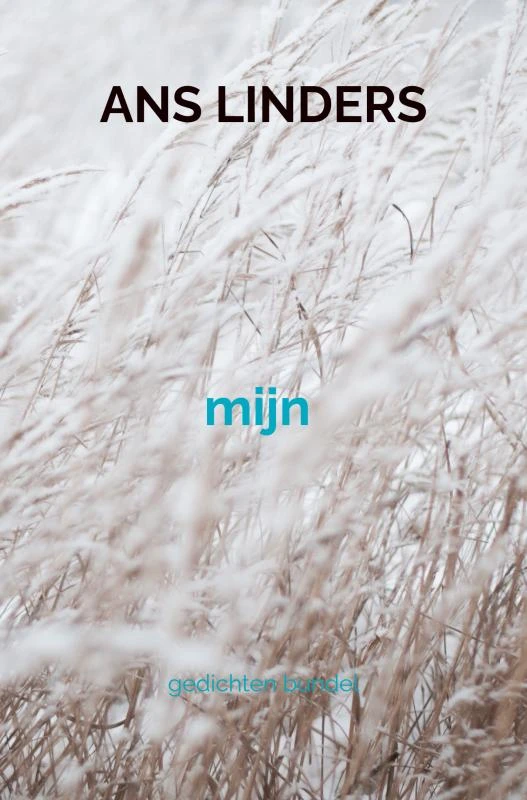 mijn – boek cover