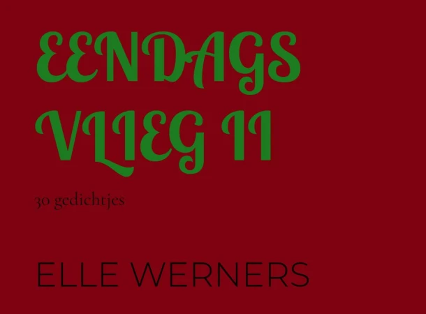 EENDAGSVLIEG II – Elle Werners – boek cover