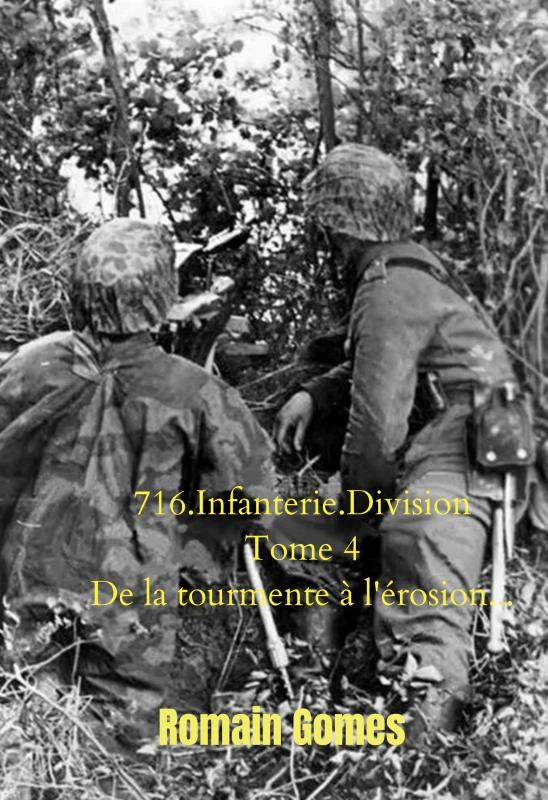 716.Infanterie.Division Tome 4 De la tourmente à l'érosion – Romain Gomes – boek cover