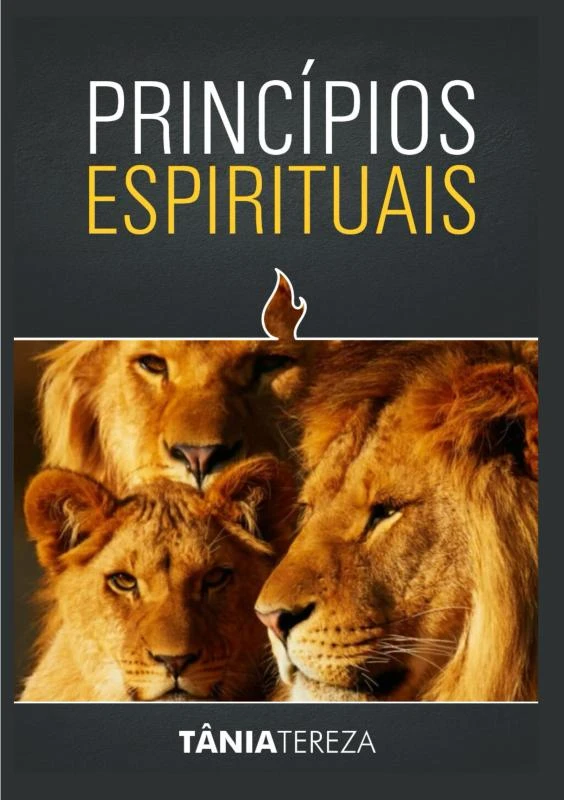 Princípios Espirituais – Tânia Tereza Medeiros de Carvalho – boek cover