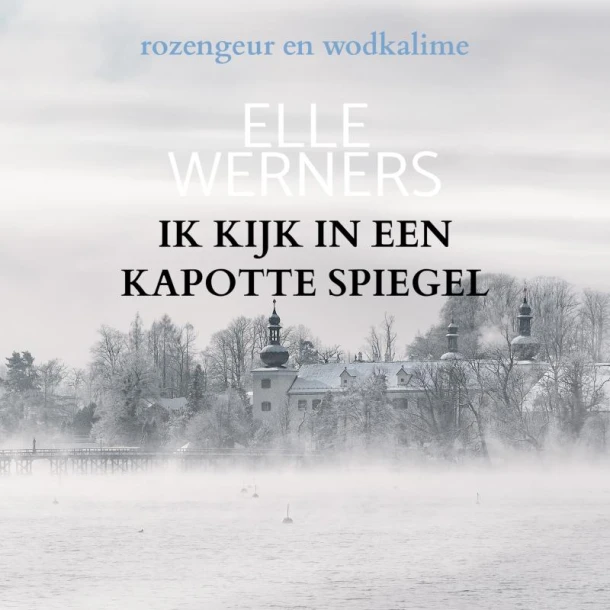 IK KIJK IN EEN KAPOTTE SPIEGEL – Elle Werners – boek cover