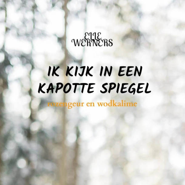IK KIJK IN EEN KAPOTTE SPIEGEL – Elle Werners – boek cover