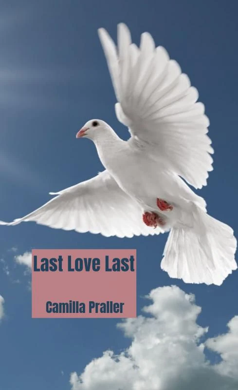 Last Love Last – Camilla Praller – boek cover