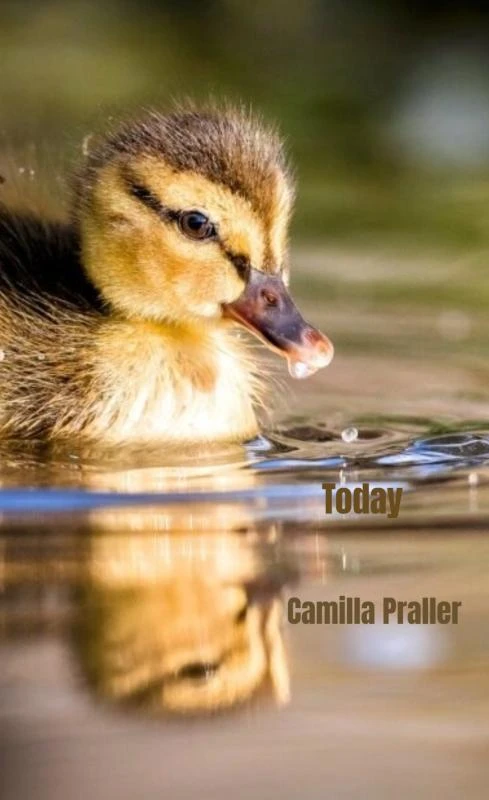 Today – Camilla Praller – boek cover
