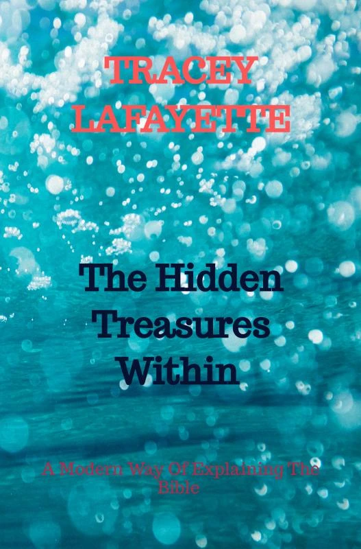 The Hidden Treasures Within – Tracey Lafayette – boek cover