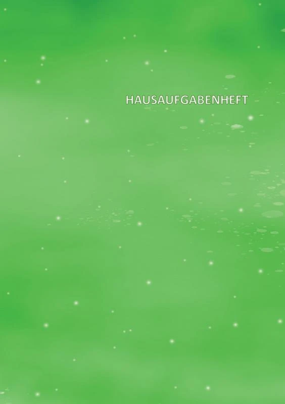 Hausaufgabenheft – Lilly Lernenlust – boek cover