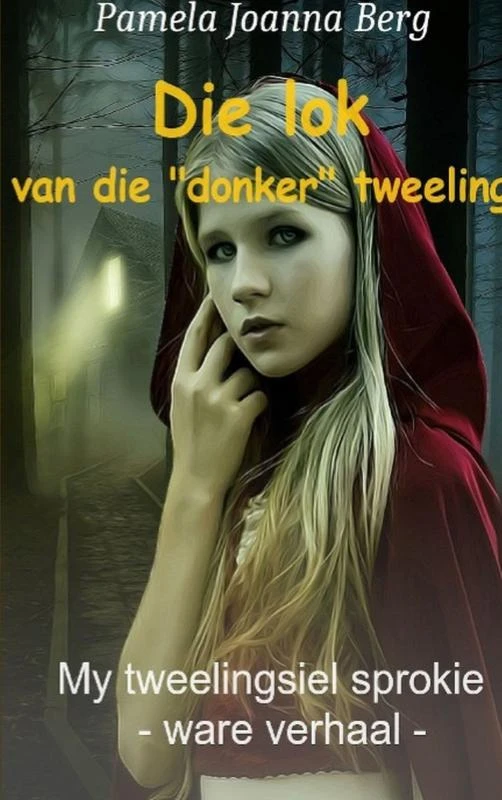 Die lok van die ¿donker¿ tweeling – Pamela Joanna Berg – boek cover