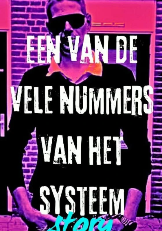 EEN VAN DE VELE NUMMERS VAN HET SYSTEEM – Remond Reichwein – boek cover