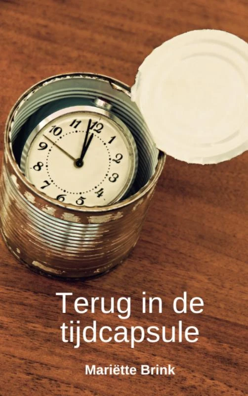 Terug in de tijdcapsule ā MariĆ«tte Brink ā boek cover