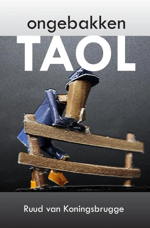 Ongebakken Taol – Ruud Van Koningsbrugge – boek cover