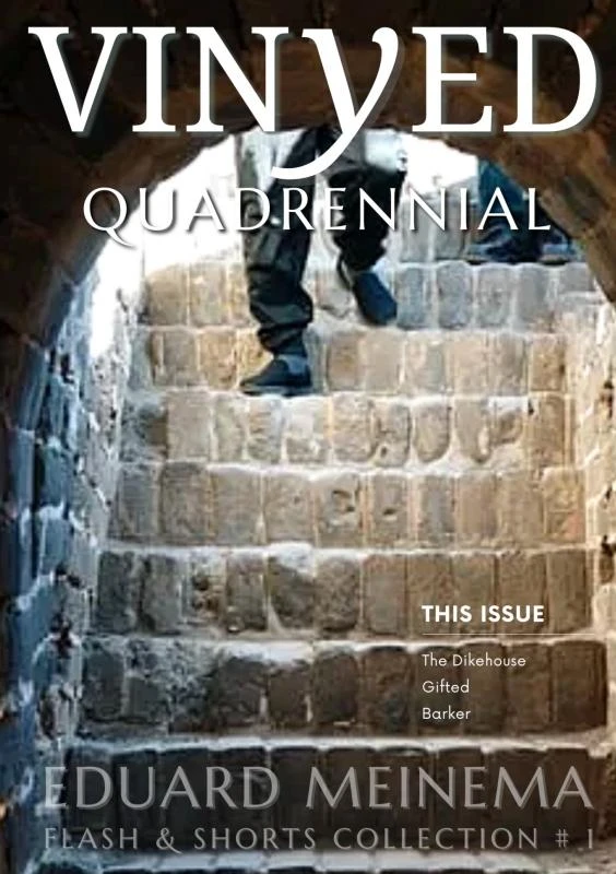 Quadrennial – Eduard Meinema – boek cover