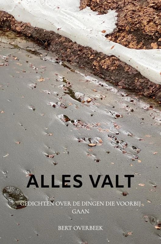 Alles valt – Bert Overbeek – boek cover